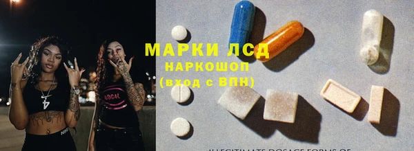 ГАЛЛЮЦИНОГЕННЫЕ ГРИБЫ Балахна