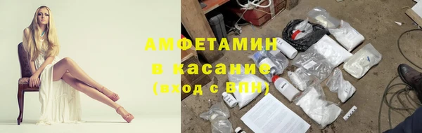 ГАЛЛЮЦИНОГЕННЫЕ ГРИБЫ Балахна