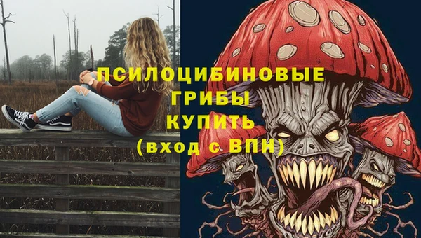 ГАЛЛЮЦИНОГЕННЫЕ ГРИБЫ Балахна